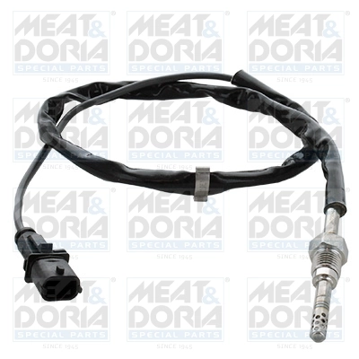 Sensor, exhaust gas temperature